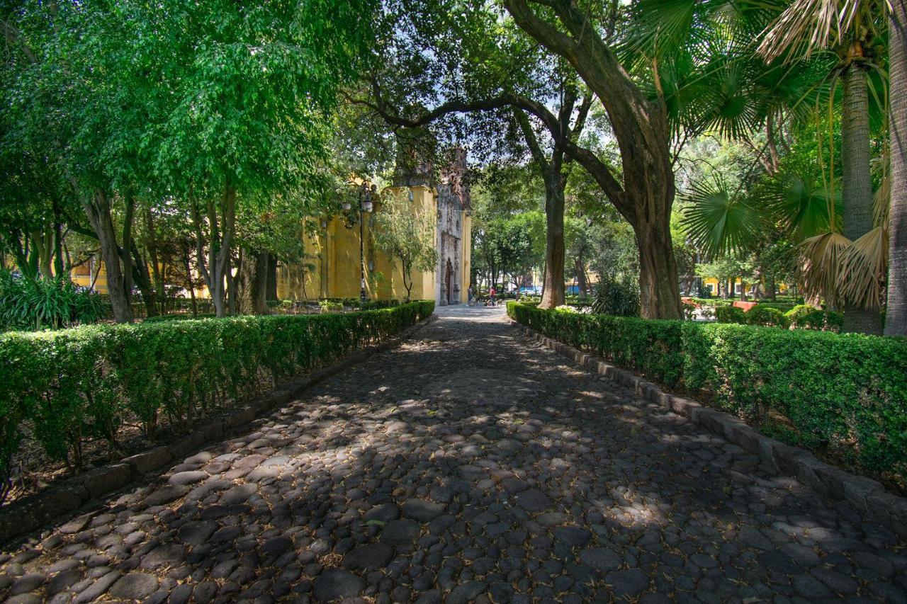 Apartament Fl 59 Coyoacan At Your Doorstep! Meksyk Zewnętrze zdjęcie