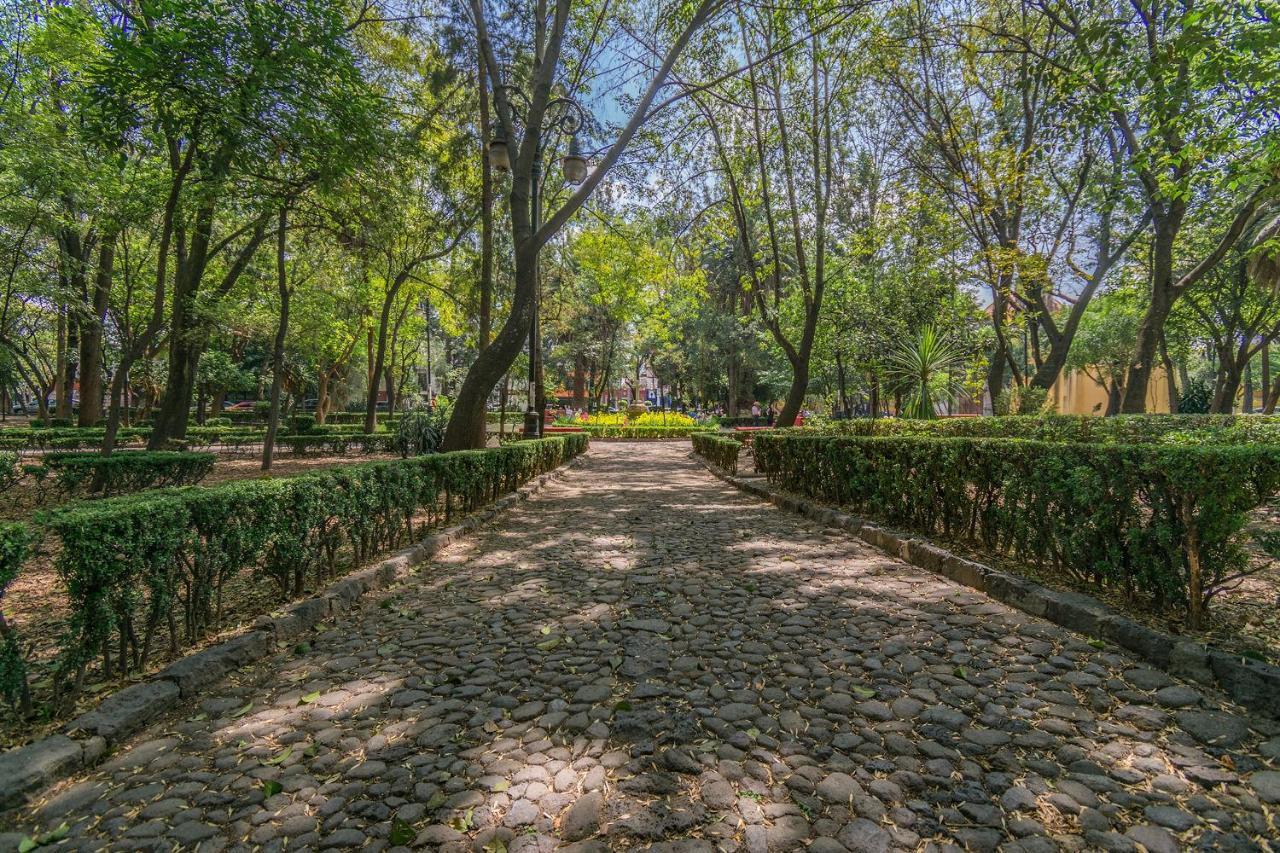 Apartament Fl 59 Coyoacan At Your Doorstep! Meksyk Zewnętrze zdjęcie